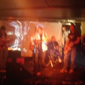 The Amber Herd - List pictures