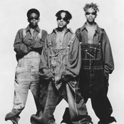 Immature - List pictures