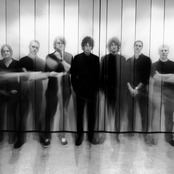 Tangarine - List pictures