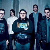 Fate - List pictures