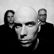 Mizan - List pictures