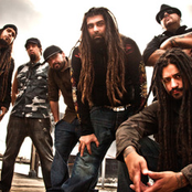 Ill Niño - List pictures