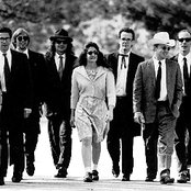 Lambchop - List pictures