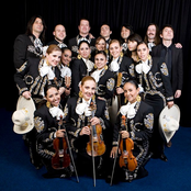 Mariachi El Bronx - List pictures