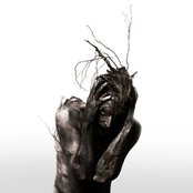 Blut Aus Nord - List pictures