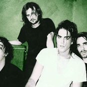 Elefant - List pictures