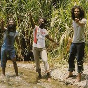 Congos - List pictures
