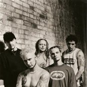 Flaw - List pictures