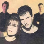 The Sundays - List pictures