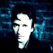 Recoil - List pictures