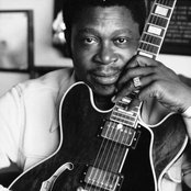 B.b. King - List pictures
