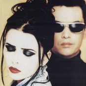 Curve - List pictures