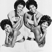 The Shirelles - List pictures