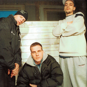 Massive Töne - List pictures