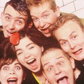 Sugarcubes - List pictures