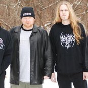 Jungle Rot - List pictures