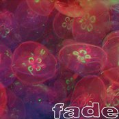 Fade - List pictures