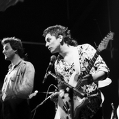 Able Tasmans - List pictures