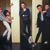 Loquillo Y Los Trogloditas - List pictures