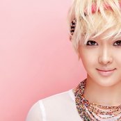 Fat Cat - List pictures