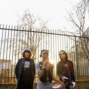 Noisettes - List pictures