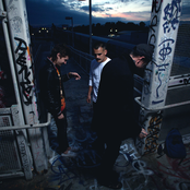 Set To Stun - List pictures