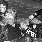 G.b.h. - List pictures