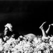 Cass Elliot - List pictures