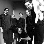 Mustard Plug - List pictures