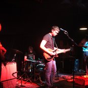 Willow - List pictures