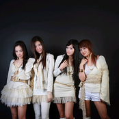 Cats - List pictures