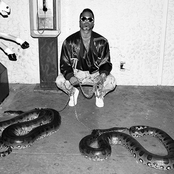 Shabazz Palaces - List pictures