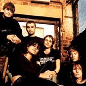 Elastica - List pictures