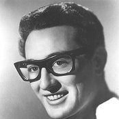 Holly Buddy - List pictures