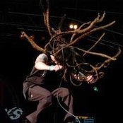 Shadows Fall - List pictures