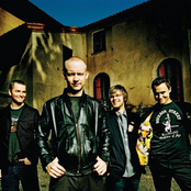 Fray - List pictures