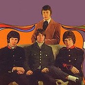 The Tremoloes - List pictures