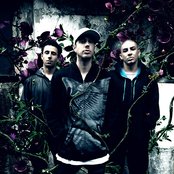 Bliss N Eso - List pictures