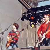 Lightning Seeds - List pictures