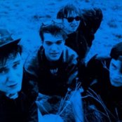 The Bates - List pictures