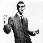 Holly Buddy - List pictures