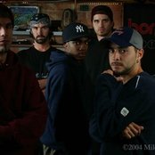 Borialis - List pictures