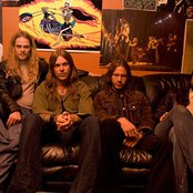 Orchid - List pictures