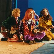 Jellyfish - List pictures