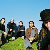 Trepalium - List pictures