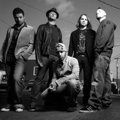 Chris Daughtry - List pictures