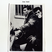 Flesh World - List pictures