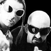 Datura - List pictures