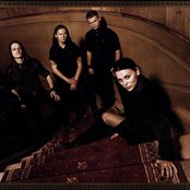 Darzamat - List pictures