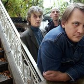 Element Of Crime - List pictures